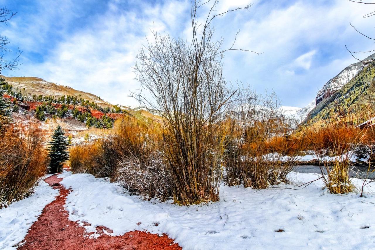 Mountain Lodge Telluride Rom bilde