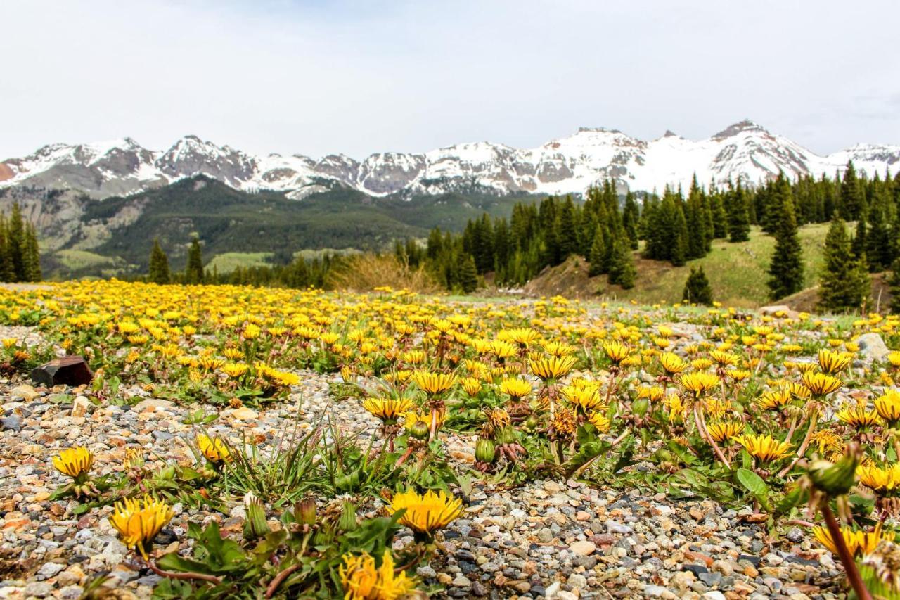 Mountain Lodge Telluride Rom bilde